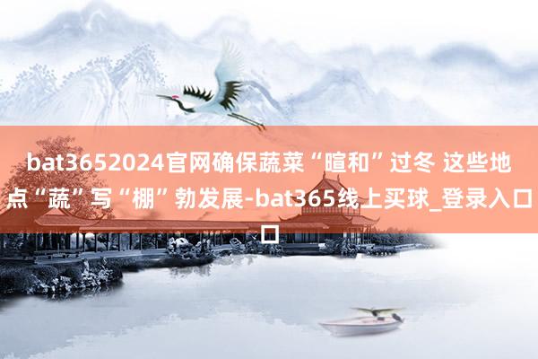 bat3652024官网确保蔬菜“暄和”过冬 这些地点“蔬”写“棚”勃发展-bat365线上买球_登录入口