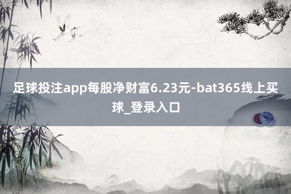 足球投注app每股净财富6.23元-bat365线上买球_登录入口