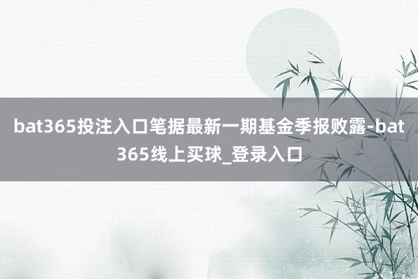 bat365投注入口笔据最新一期基金季报败露-bat365线上买球_登录入口